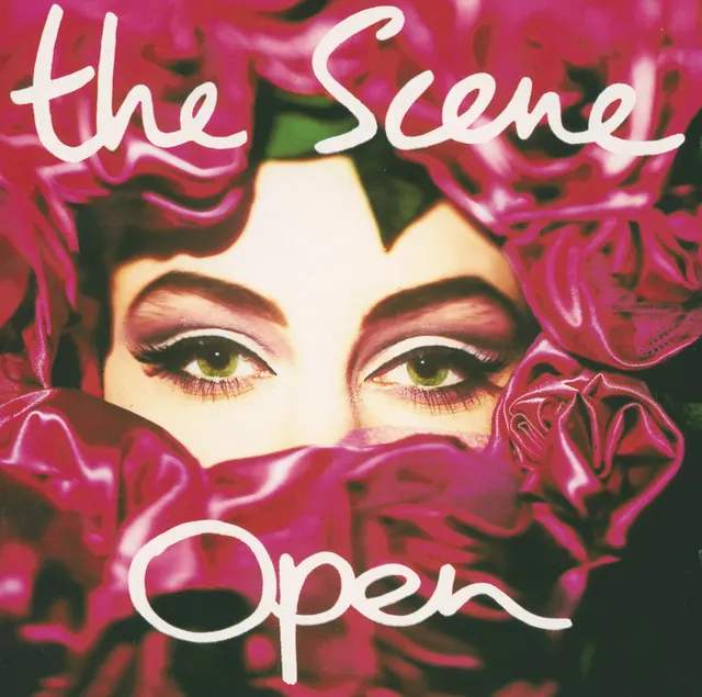 Cover of Open