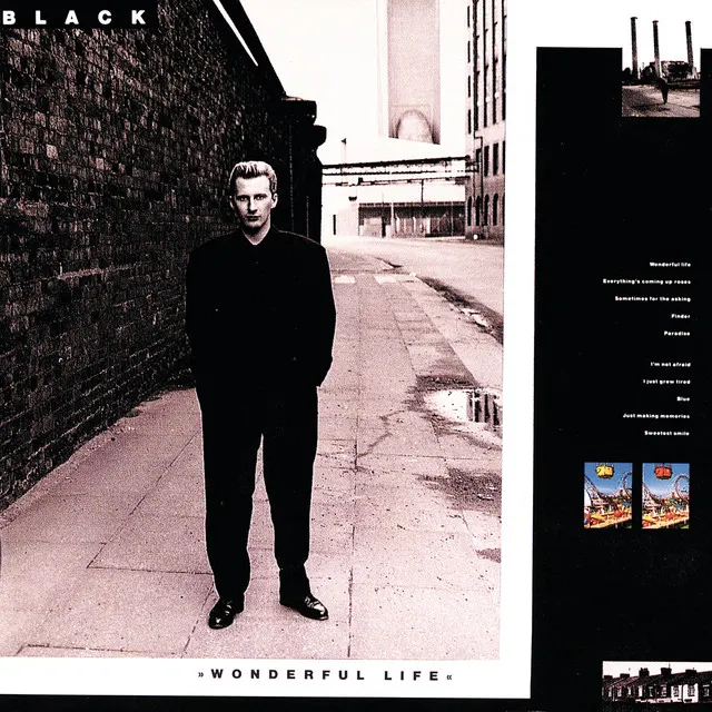 Cover of Wonderful Life