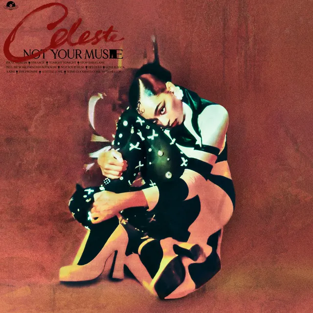 Cover of Stop This Flame