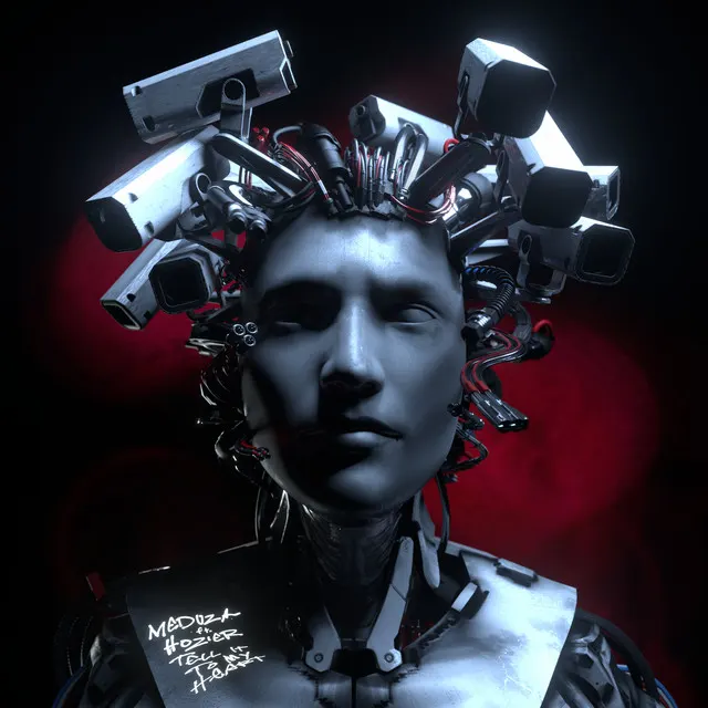 Hoes van Tell It To My Heart