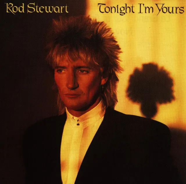Cover of Tonight I'm Yours (Don't Hurt Me)
