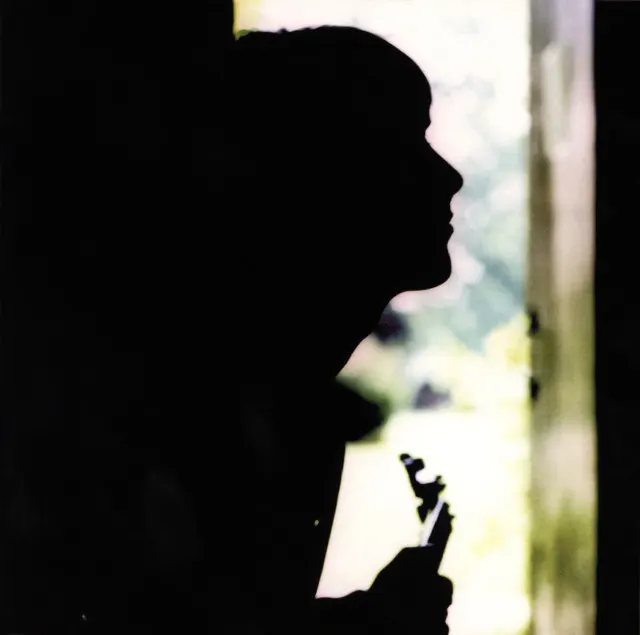 Cover of Wild Wood