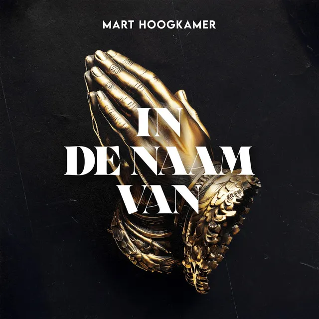Cover of In de naam van...