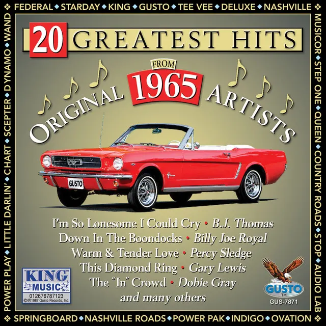 Cover of Wooly Bully