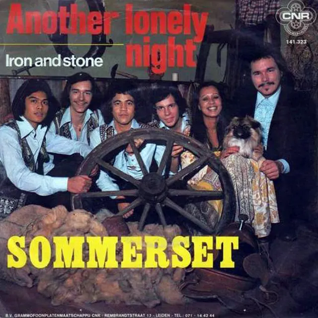 Cover of Another Lonely Night