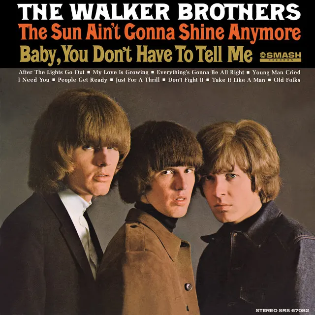 Cover of The Sun Ain't Gonna Shine Anymore