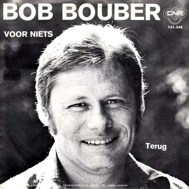 Cover of Voor Niets