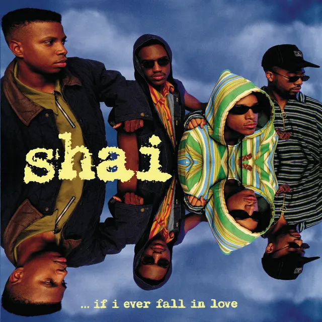 Cover of If I Ever Fall In Love
