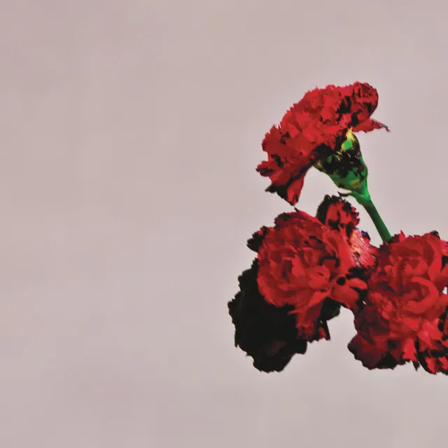 Hoes van All of Me