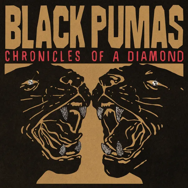 Hoes van Chronicles of a Diamond