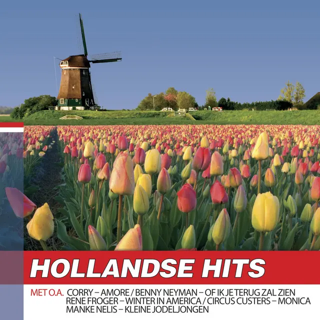 Cover of More Than I Can Say