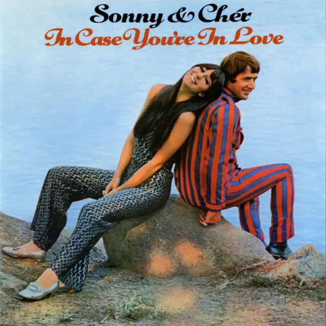 Cover of Little Man