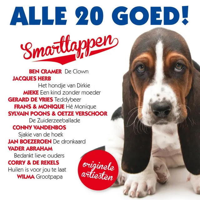 Hoes van De Oude Muzikant