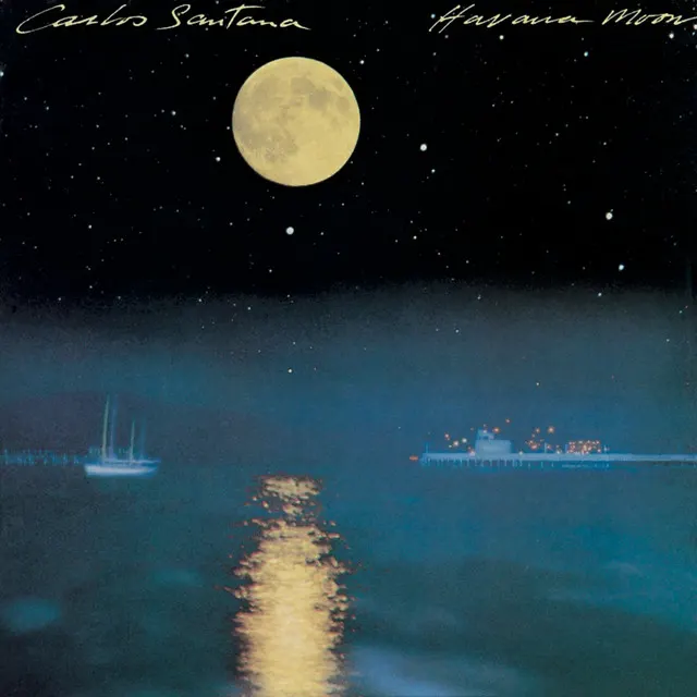 Cover of They All Went to Mexico