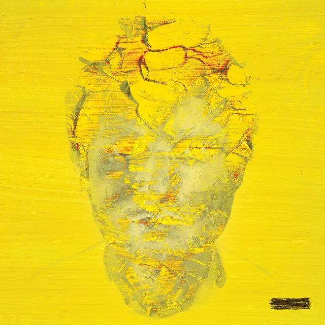 Cover of Curtains
