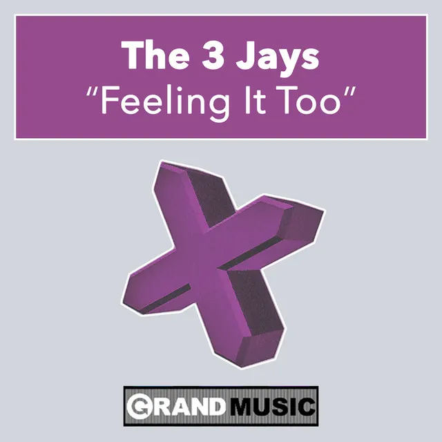 Cover of Feeling It Too