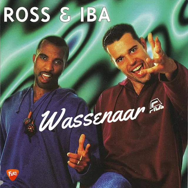 Hoes van Wassenaar