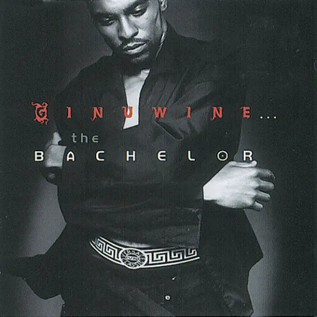 Cover of When Doves Cry