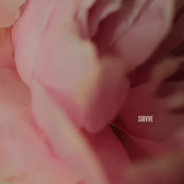 Cover of Survive