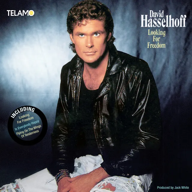 Cover of Looking for Freedom